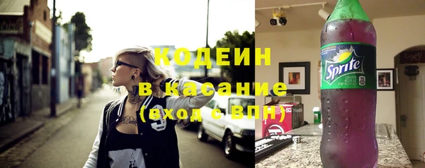 хмурый Елабуга