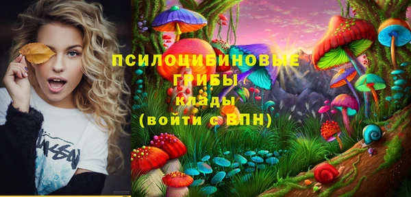 хмурый Елабуга