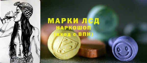 spice Ельня