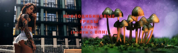 spice Ельня