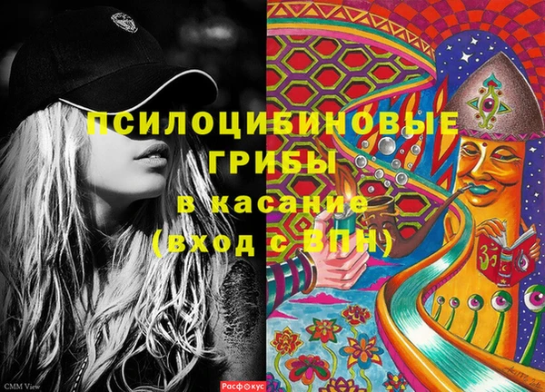 винт Елизово