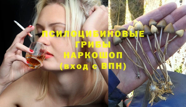 хмурый Елабуга