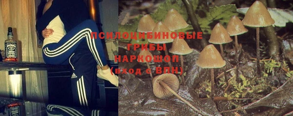 хмурый Елабуга