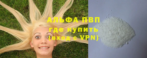 spice Ельня