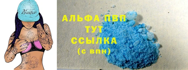 spice Ельня