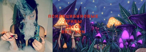 винт Елизово