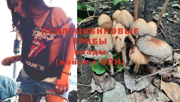 spice Ельня