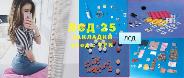 spice Ельня