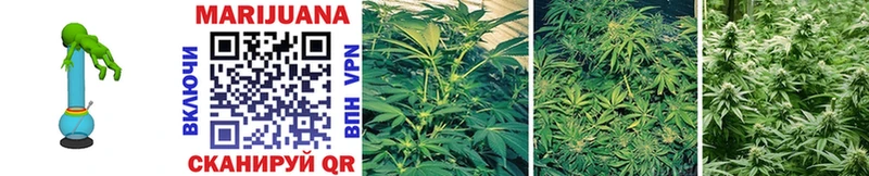 Каннабис SATIVA & INDICA Заинск